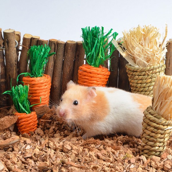 Zanahoria Masticable Para Decoracion De Habitat Hamster