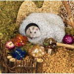 Hongos De Ceramica Para Adornar Habitat De Hamster (4pzas)